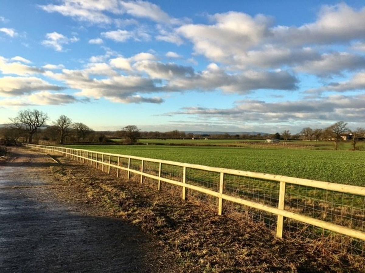 North Cottage - Country Retreat In The Heart Of Sussex -Twineham Ngoại thất bức ảnh