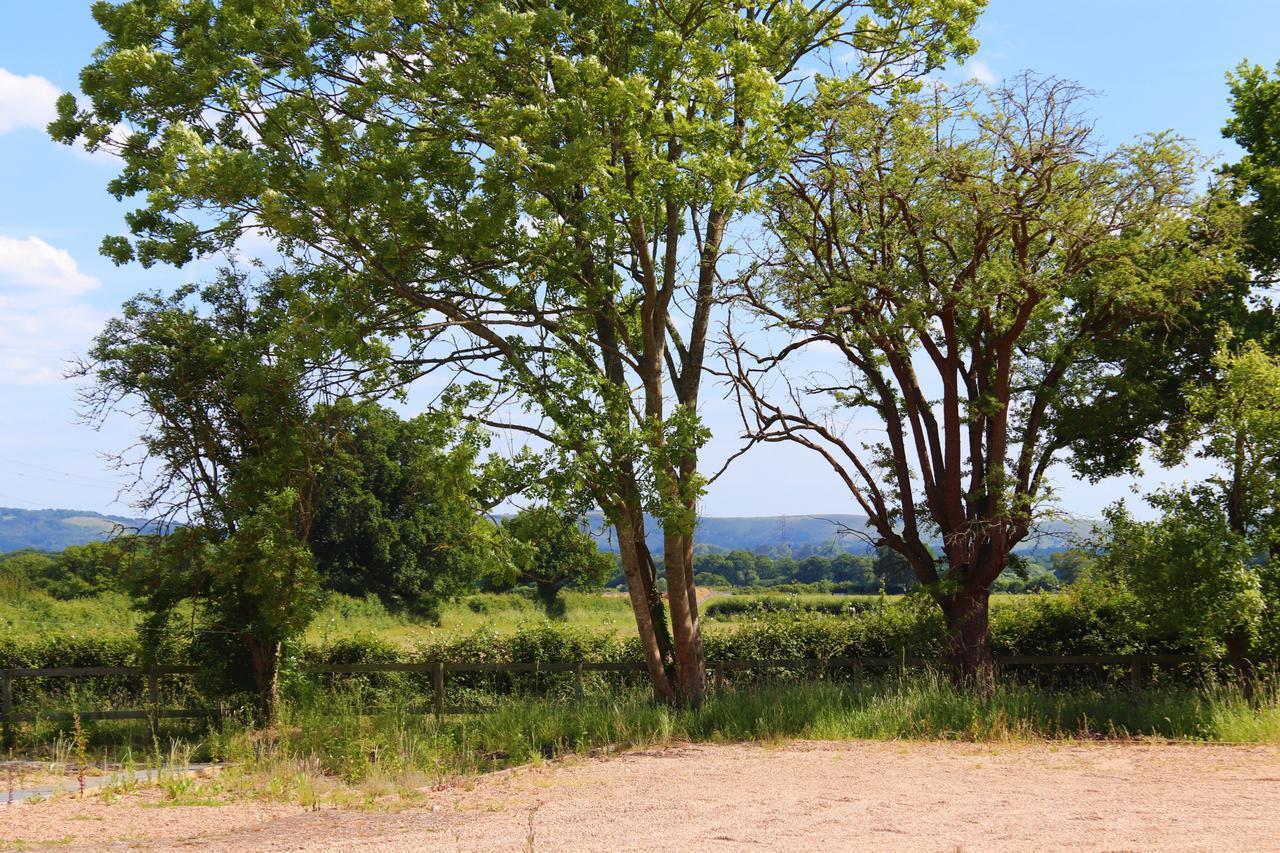 North Cottage - Country Retreat In The Heart Of Sussex -Twineham Ngoại thất bức ảnh